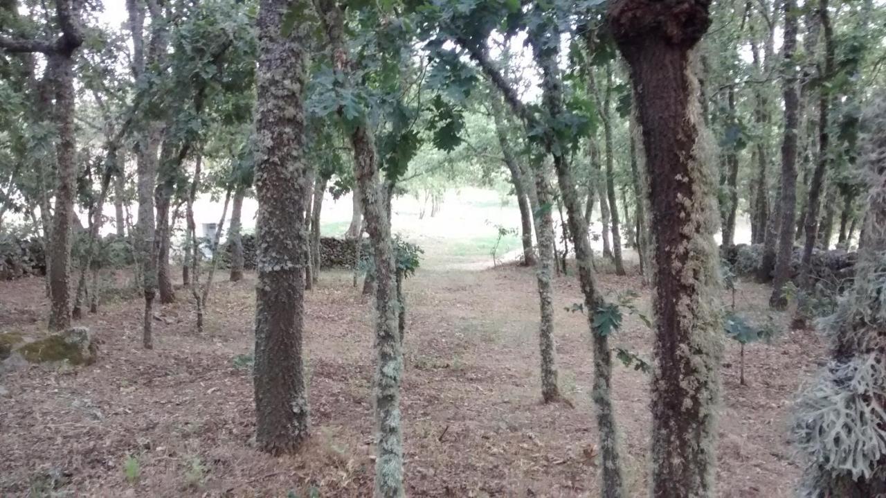 Las Casitas De Las Arribes Ξενοδοχείο Aldeadávila de la Ribera Εξωτερικό φωτογραφία